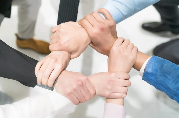 專業(yè)技術團隊